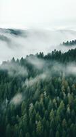 un' alto angolo tiro di un' foresta con un' bianca nebbia copertura foto