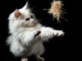giocoso felino saltare attraverso il aria nel ricerca di un' piuma giocattolo ai generativo foto