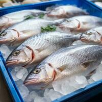 pesce su ghiaccio a il mercato. - ai generato foto