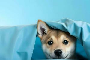 un' curioso cane nascondiglio sotto un' accogliente lenzuolo. ai generato foto