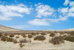 panoramico deserto Visualizza foto