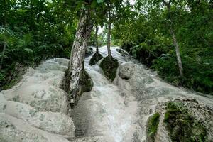 bua tong o buatong calcare cascata nel il giungla nel chiang mai, Tailandia. foto
