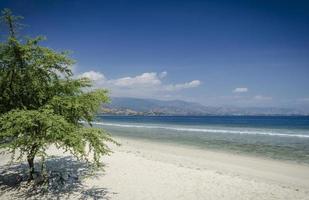 areia branca vista spiaggia tropicale e costa vicino a dili a timor est foto