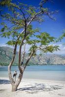 areia branca vista spiaggia tropicale e costa vicino a dili a timor est foto