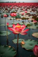 bellissimo loto fiore fioritura nel il stagno con montagna sfondo, ai generativo foto