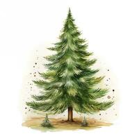 acquerello illustrazione di un' semplice verde abete rosso. Natale clipart, nuovo anno, vacanza, foresta. generativo ai foto