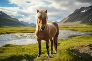 islandese cavallo in piedi su il riva di un' montagna fiume, islandese cavallo nel il campo di panoramico natura paesaggio di Islanda, ai generato foto