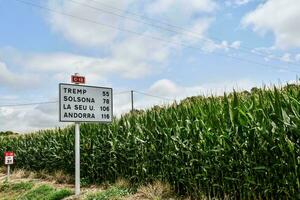 un' strada cartello foto