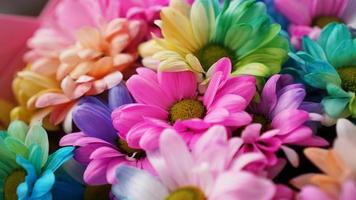 margherite arcobaleno. mazzi di fiori arcobaleno in fiore foto