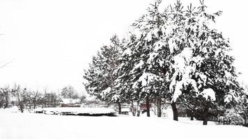 campagna e natura in inverno. tanta neve dopo una nevicata foto