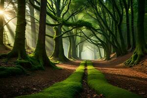 un' sentiero attraverso un' foresta con alberi e muschio. ai-generato foto