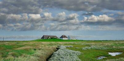 Hamburger hallig o amburgo leccio a nord mare, nord Frisia, Germania foto