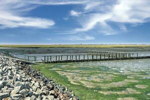 Basso marea a il bagnarsi la zona di lundenbergsand,husum,nord mare, nord Frisia, Germania foto