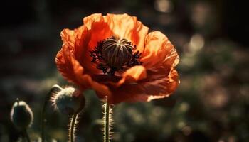 vivace Fiore di campo fiori nel un' prato, in mostra natura colorato bellezza generato di ai foto