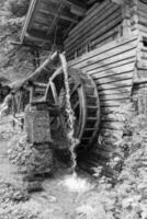 escursioni a piedi nesar gosau nel Austria foto