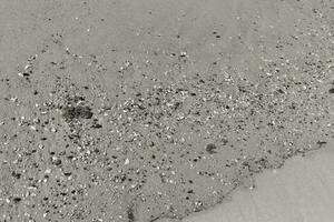 bella pezzi di conchiglie diffusione attraverso il Marrone sabbia. minuscolo liscio ciottoli misto in. Questo è il tipico Guarda di tramonto spiaggia nel capo Maggio nuovo maglia. tutti di il detriti quello ha stato lavato a terra. foto