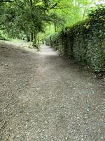 un' Visualizza di il lago quartiere a orrest testa vicino windermere foto