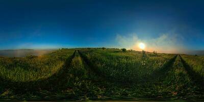 360 grado sferico panorama di nebbioso estate mattina prato nel eqrettangolare proiezione foto