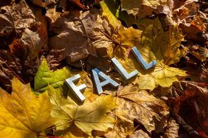 parola autunno di cui con argento metallo lettere su caduto acero le foglie su autunno foresta pavimento foto