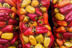 fresco rosso e giallo dolce campana Pepe nel maglia borse su mercato - fotogramma intero avvicinamento Visualizza foto