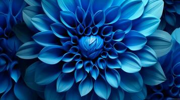 blu fiore vicino su natura biologico modello foto