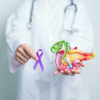 medico Tenere viola nastro con umano pancreas modello per supporto pancreatico cancro novembre consapevolezza mese, pancreatite, digestivo sistema, mondo cancro giorno e Salute concetto foto