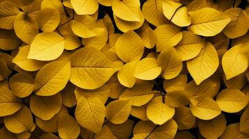 floreale modello di giallo le foglie nel natura foto