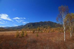 autunno oku-nikko in giappone foto