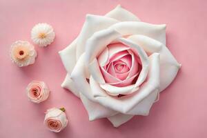 un' rosa è circondato di fiori su un' rosa sfondo. ai-generato foto