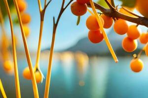 arancia frutta sospeso a partire dal un' ramo vicino un' lago. ai-generato foto