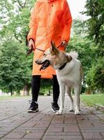 giovane donna in impermeabile arancione che cammina con il suo cane in un parco