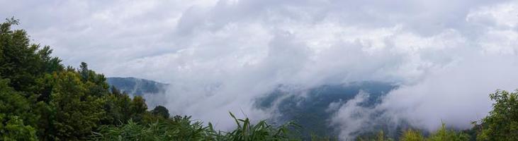 panorama, nebbia sulla montagna dietro la foresta verde foto