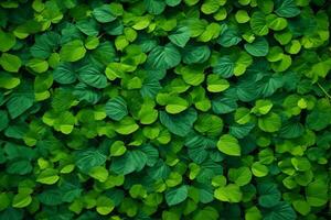 verde le foglie sfondo, natura le foglie sfondo, le foglie sfondo, le foglie sfondo, ai generativo foto