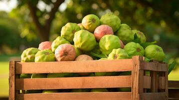 appena raccolto guaiava bol frutta a partire dal giardino posto nel il scatole. generativo ai foto