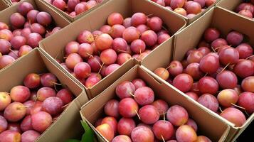 appena raccolto ambarella frutta a partire dal giardino posto nel il scatole. generativo ai foto