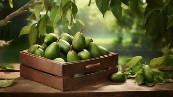 appena raccolto avocado frutta a partire dal giardino posto nel il scatole. generativo ai foto