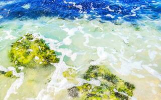 pietre rocce coralli turchese verde blu acqua su spiaggia Messico. foto