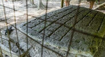 coba maya rovine antico edifici piramidi rilievi tropicale giungla Messico. foto