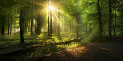 bellissimo raggi di luce del sole nel un' verde foresta. generativo ai foto