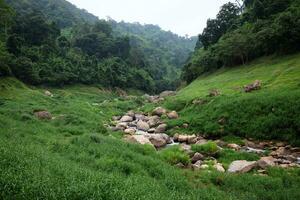 freschezza paesaggio per acqua autunno e ruscello fluente attraverso rocce nel tropicale pioggia foresta e verdura selvaggio giungla. khao chong lom a nakhonnayok Provincia, Tailandia foto