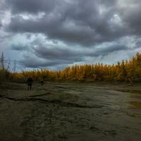 un' sentiero lungo il letto di un' prosciugato settentrionale fiume contro il sfondo di un autunno foresta foto