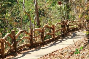 di legno ringhiera e naturale sentiero nel asciutto tropicale foresta nel estate foto