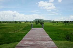 di legno ponte con il erba terra e riso azienda agricola Visualizza con il montagna nel Tailandia foto