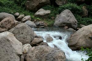 freschezza paesaggio per acqua autunno e ruscello fluente attraverso rocce nel tropicale pioggia foresta e verdura selvaggio giungla. foto