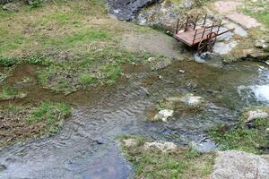 vegetazione su il banche di un' fiume con pulito fresco acqua. foto