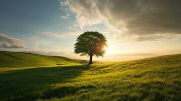 paesaggio Visualizza di uno grande albero su il superiore di il collina con verde erba su un' pendio con blu cielo e nuvole nel il sfondo. generativo ai foto