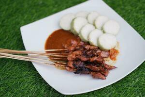 pollo satay su un' bianca piatto con arachide salsa foto