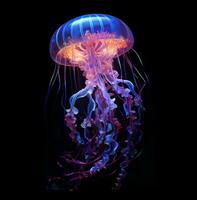 raggiante Medusa nuotare in profondità nel blu mare, neon Medusa fantasia su nero sfondo, ai generativo foto