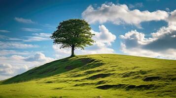 paesaggio Visualizza di uno grande albero su il superiore di il collina con verde erba su un' pendio con blu cielo e nuvole nel il sfondo. generativo ai foto