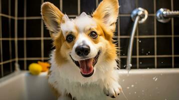 gioioso corgi cane godendo un' bolla bagno, con suo lingua su e un' giocoso espressione. generativo ai foto